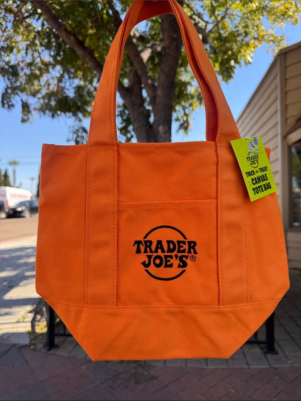 Trader Joe's Halloween Orange Canvas Mini Tote